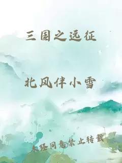 三國之遠征
