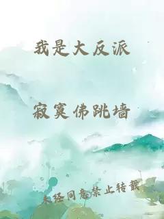 我是大反派