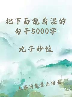 把下面能看濕的句子5000字
