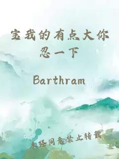 寶我的有點(diǎn)大你忍一下