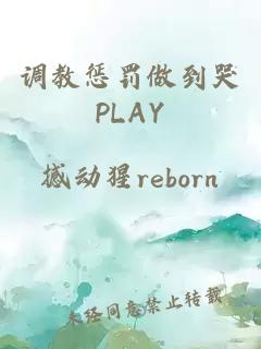 調教懲罰做到哭PLAY