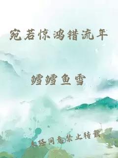 宛若驚鴻錯流年