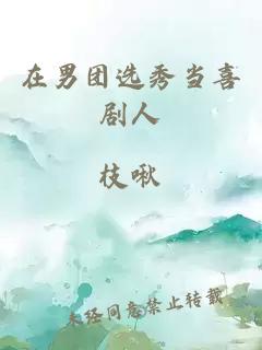 在男團選秀當喜劇人