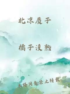 北涼質(zhì)子