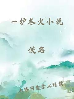 一爐冬火小說(shuō)