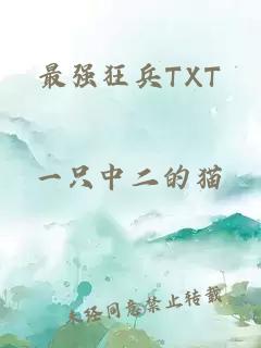最強狂兵TXT