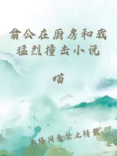 翁公在廚房和我猛烈撞擊小說(shuō)
