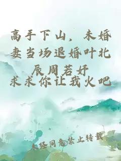 高手下山，未婚妻當場(chǎng)退婚葉北辰周若妤