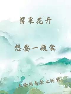 罌粟花開(kāi)