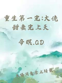 重生第一寵:大佬甜妻寵上天