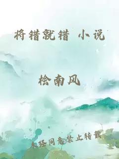 將錯就錯 小說(shuō)