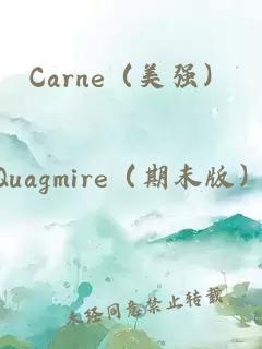抽卡吧！帥氣Ssr洗腦育成中
