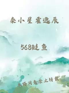 秦小星霍逸辰