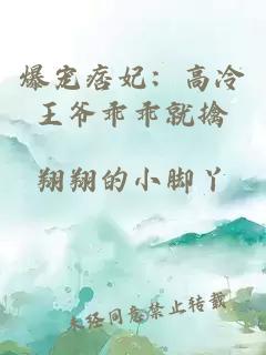 爆寵痞妃：高冷王爺乖乖就擒