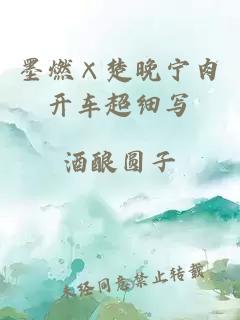 墨燃×楚晚寧肉開(kāi)車(chē)超細寫(xiě)