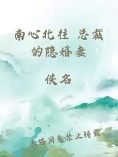南心北往 總裁的隱婚妻