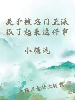 關(guān)于被名門(mén)正派抓了起來(lái)這件事