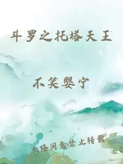 斗羅之托塔天王
