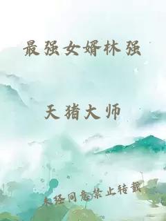 最強女婿林強